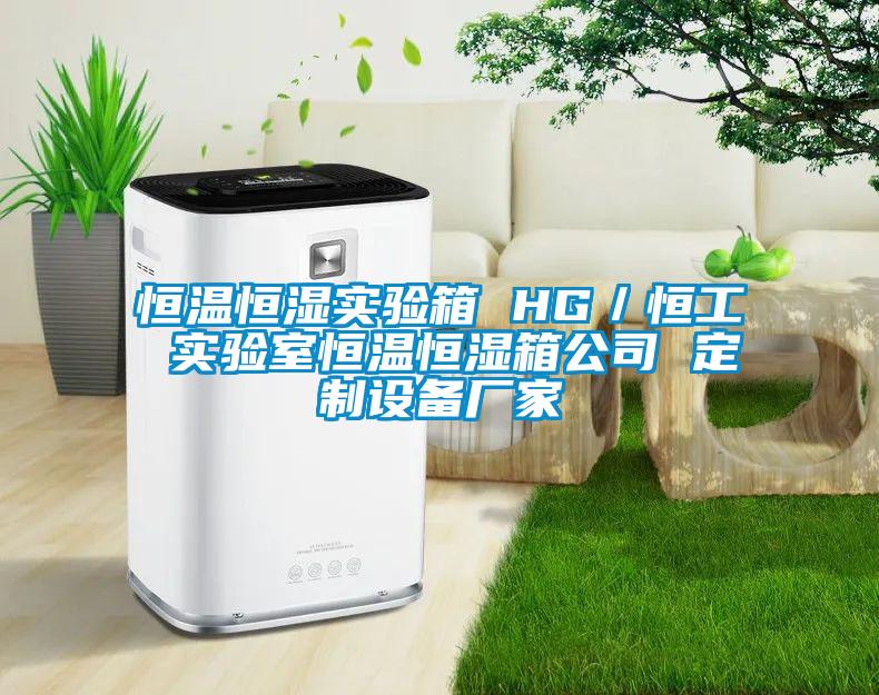 恒温恒湿实验箱 HG／恒工 实验室恒温恒湿箱公司 定制设备厂家