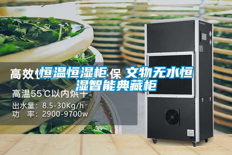 恒温恒湿柜  文物无水恒湿智能典藏柜