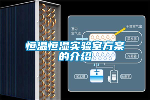 恒温恒湿实验室方案的介绍