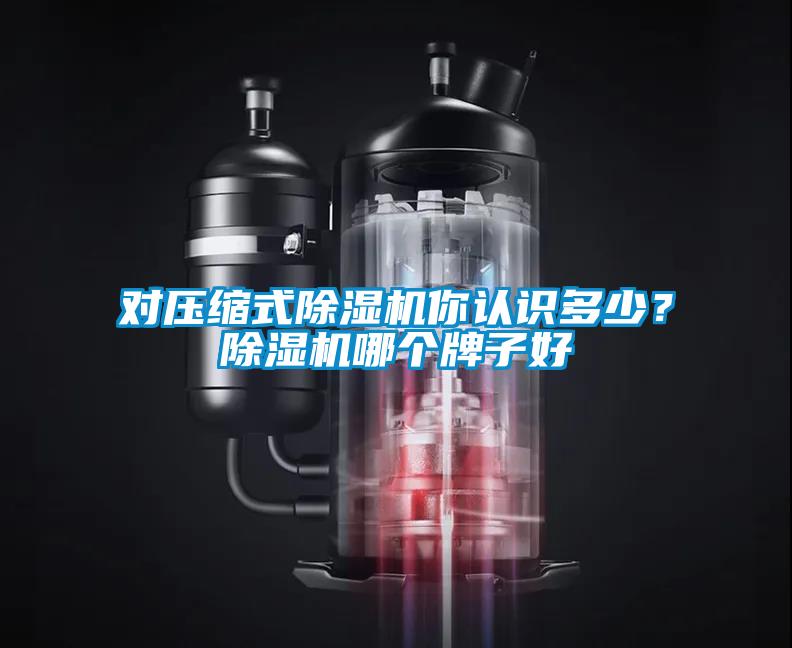 对压缩式除湿机你认识多少？除湿机哪个牌子好