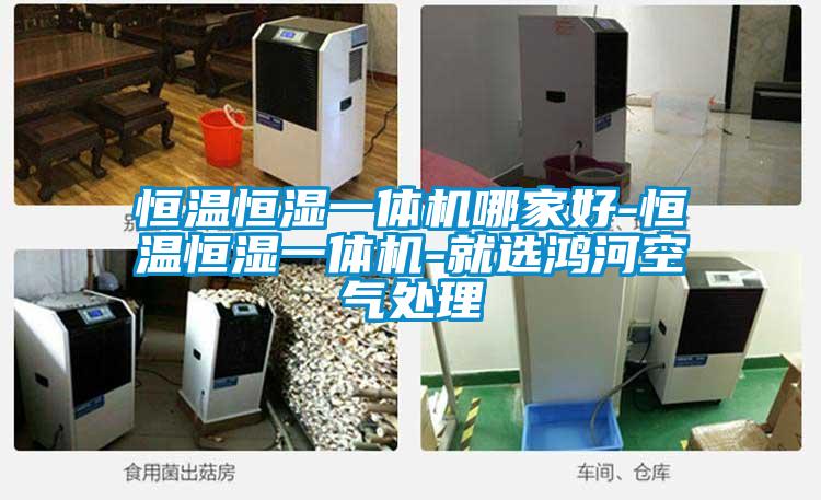 恒温恒湿一体机哪家好-恒温恒湿一体机-就选鸿河空气处理