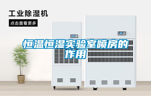 恒温恒湿实验室喷房的作用