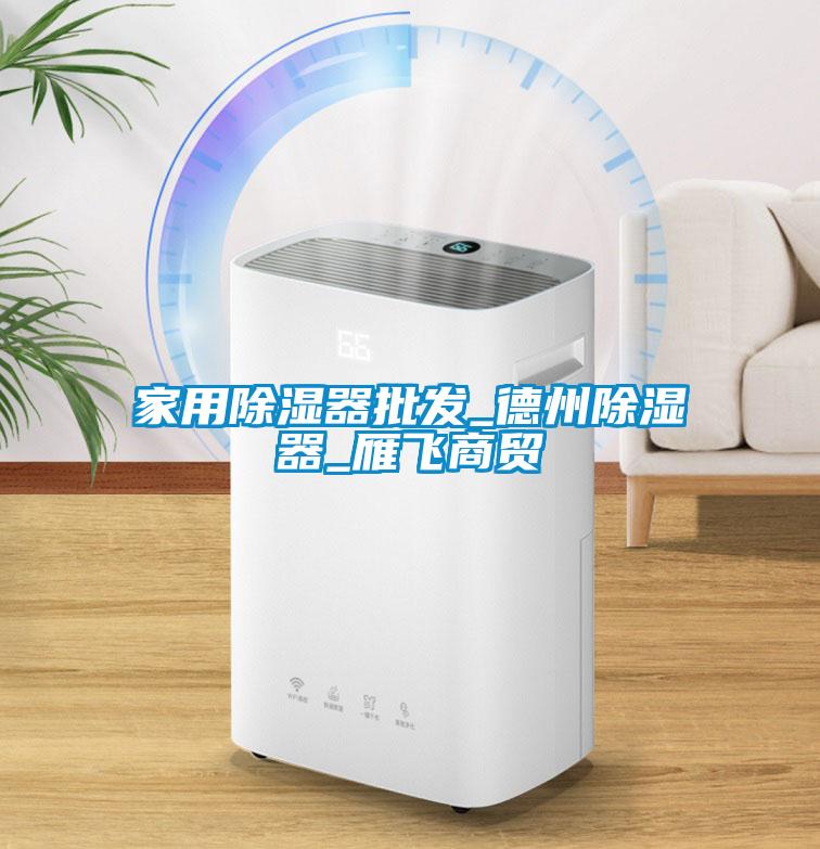 家用除湿器批发_德州除湿器_雁飞商贸