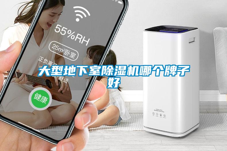 大型地下室除湿机哪个牌子好