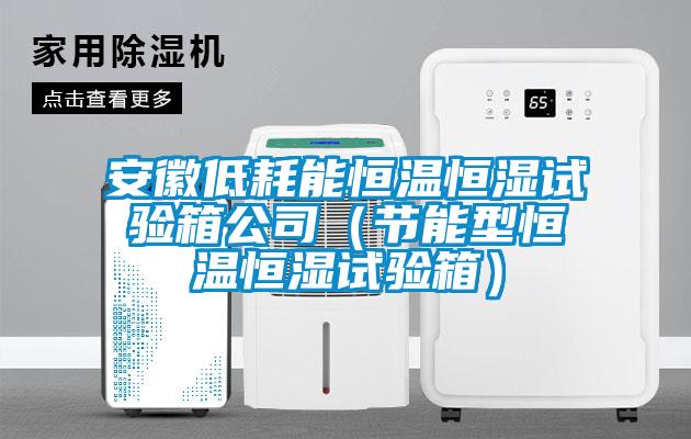 安徽低耗能恒温恒湿试验箱公司（节能型恒温恒湿试验箱）