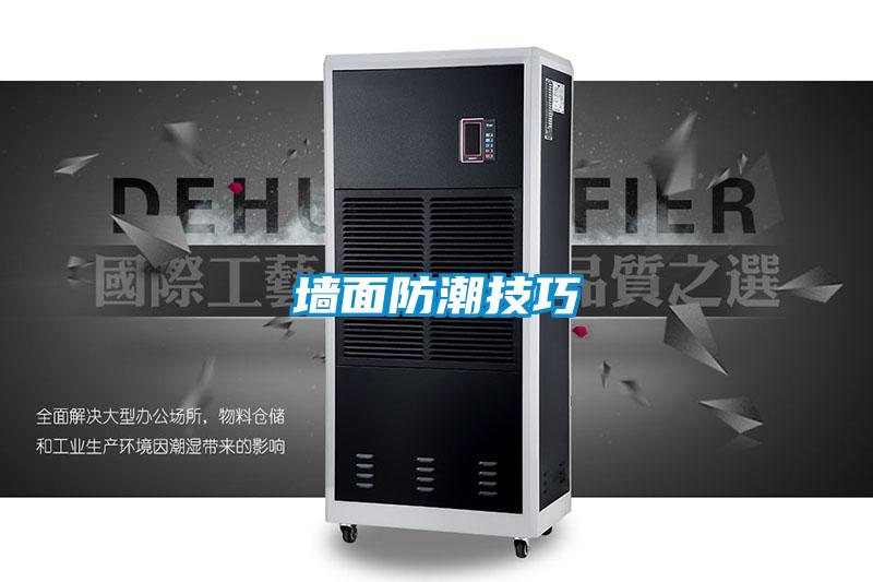 墙面防潮技巧