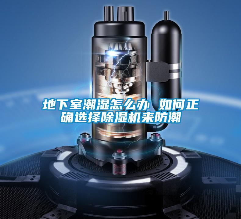 地下室潮湿怎么办 如何正确选择除湿机来防潮