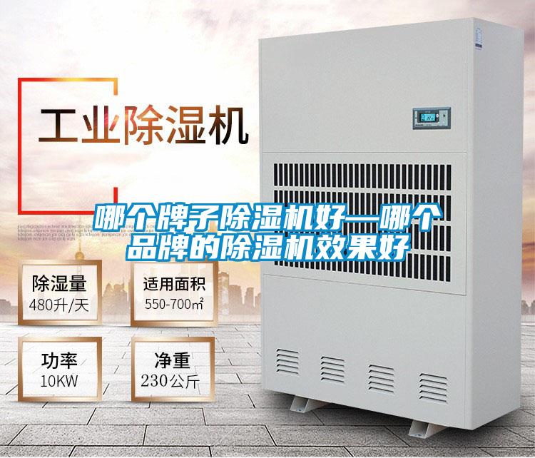哪个牌子除湿机好—哪个品牌的除湿机效果好