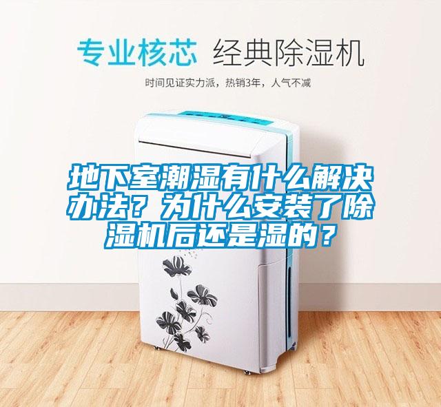 地下室潮湿有什么解决办法?为什么安装了除湿机后还是湿的?