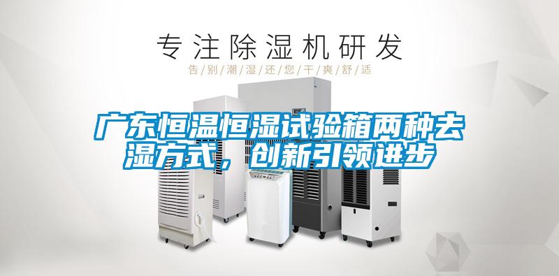 广东恒温恒湿试验箱两种去湿方式,创新引领进步