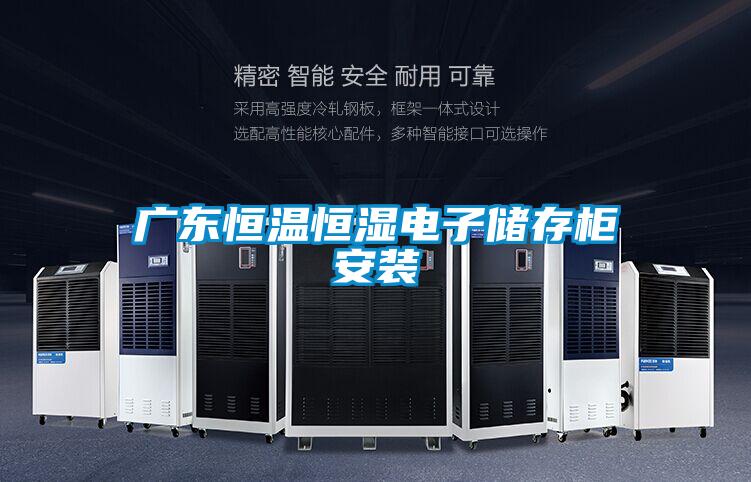 广东恒温恒湿电子储存柜安装