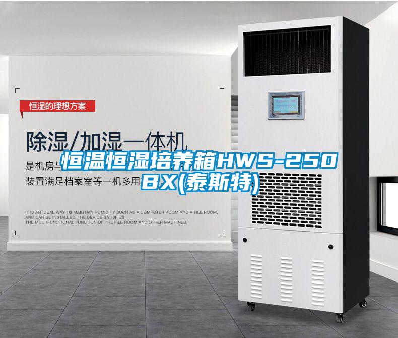 恒温恒湿培养箱HWS-250BX(泰斯特)