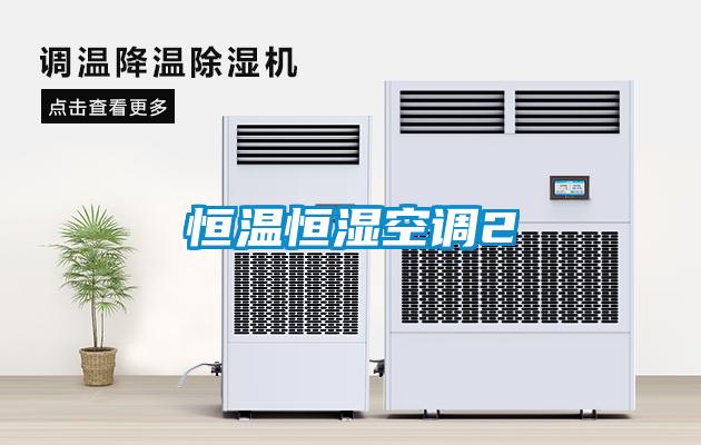 恒温恒湿空调2