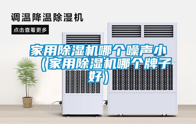 家用除湿机哪个噪声小（家用除湿机哪个牌子好）
