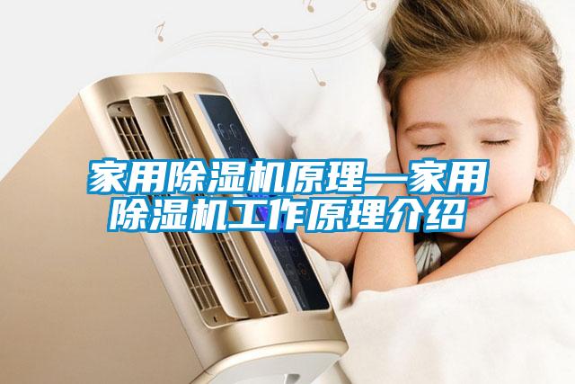 家用除湿机原理—家用除湿机工作原理介绍