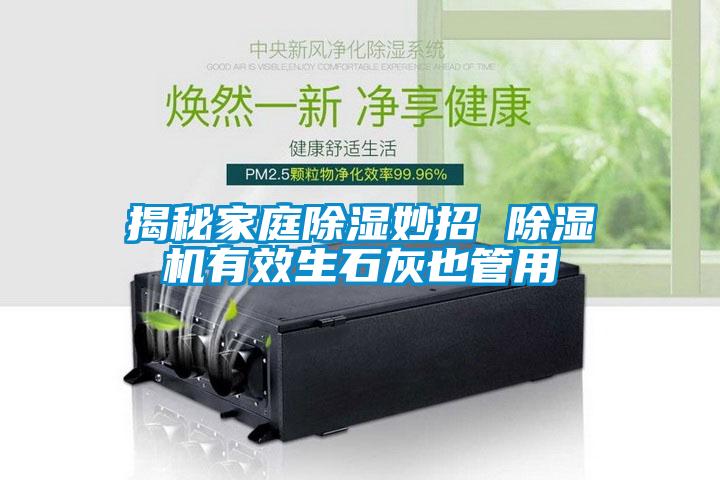揭秘家庭除湿妙招 除湿机有效生石灰也管用