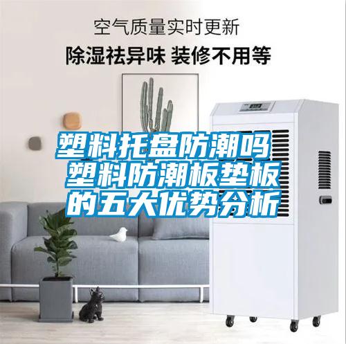塑料托盘防潮吗 塑料防潮板垫板的五大优势分析