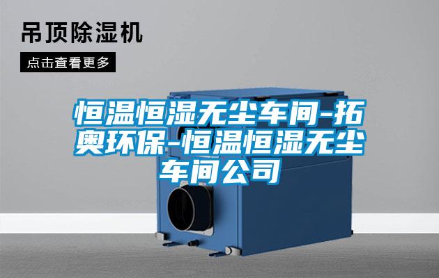 恒温恒湿无尘车间-拓奥环保-恒温恒湿无尘车间公司