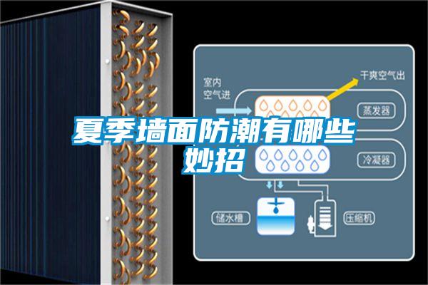 夏季墙面防潮有哪些妙招