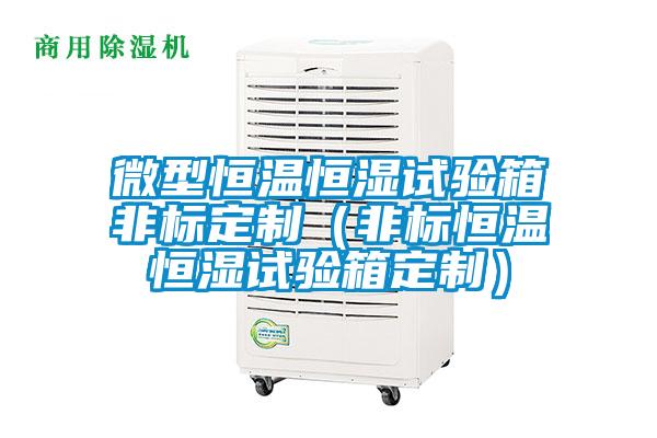 微型恒温恒湿试验箱非标定制（非标恒温恒湿试验箱定制）