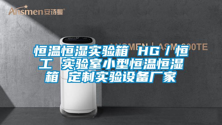 恒温恒湿实验箱 HG／恒工 实验室小型恒温恒湿箱 定制实验设备厂家