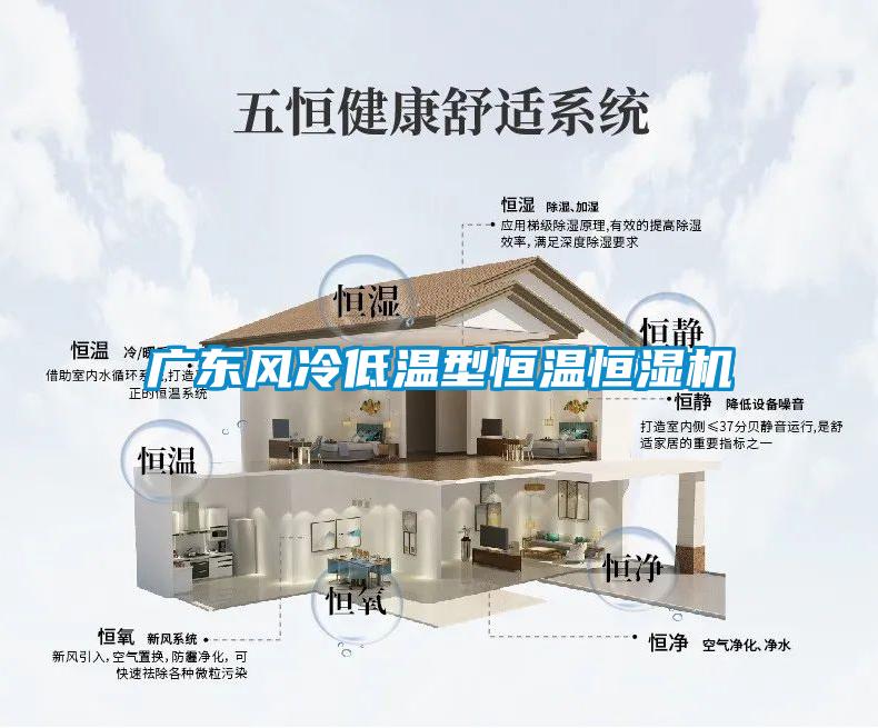 广东风冷低温型恒温恒湿机