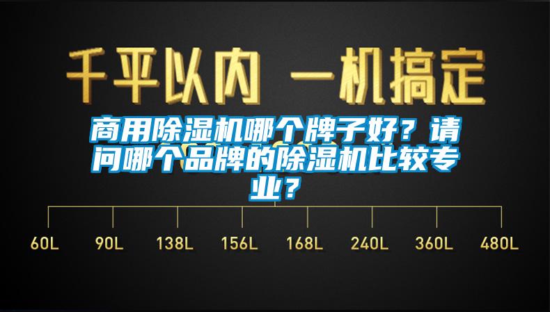 商用除湿机哪个牌子好？请问哪个品牌的除湿机比较专业？