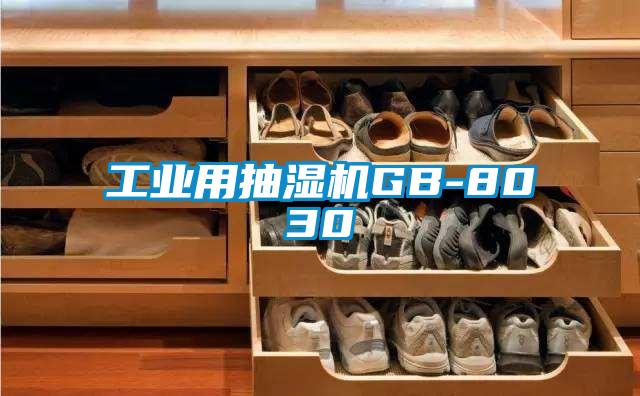 工业用抽湿机GB-8030