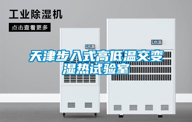 天津步入式高低温交变湿热试验室