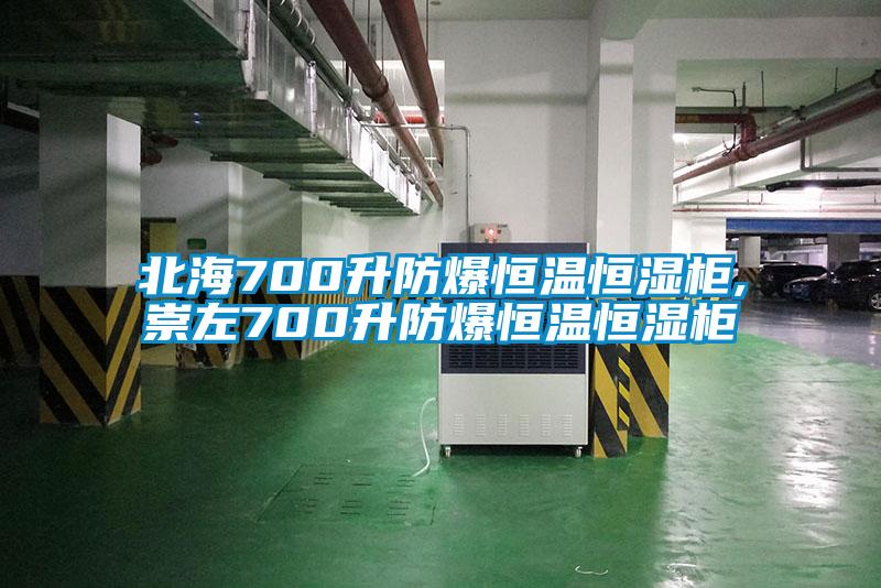 北海700升防爆恒温恒湿柜,崇左700升防爆恒温恒湿柜