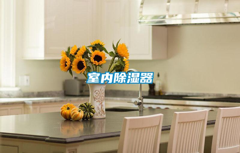 室内除湿器