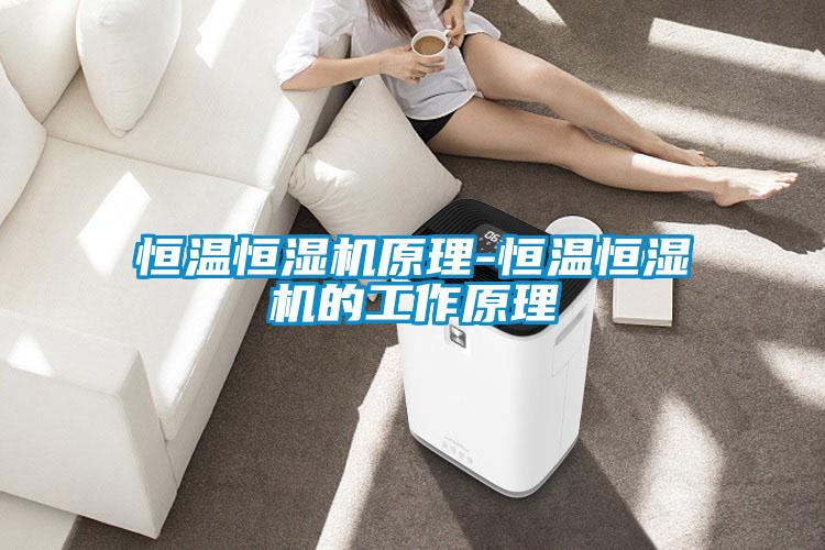 恒温恒湿机原理-恒温恒湿机的工作原理