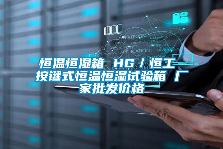 恒温恒湿箱 HG／恒工 按键式恒温恒湿试验箱 厂家批发价格