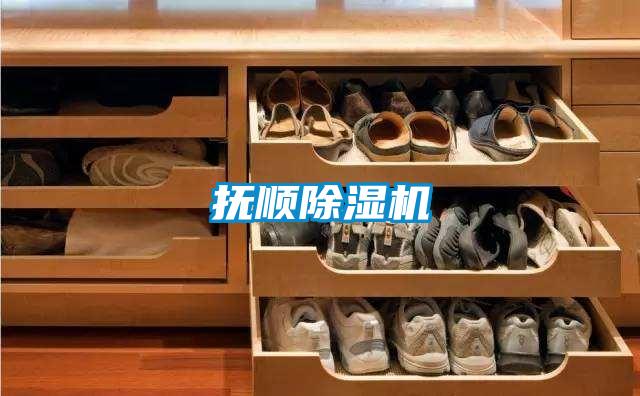 抚顺除湿机