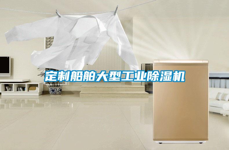 定制船舶大型工业除湿机