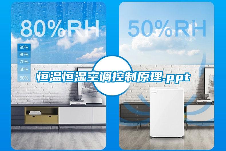 恒温恒湿空调控制原理.ppt