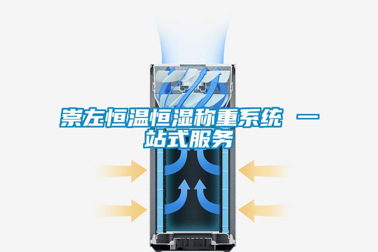崇左恒温恒湿称重系统 一站式服务