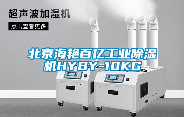 北京海艳百亿工业除湿机HYBY-10KG