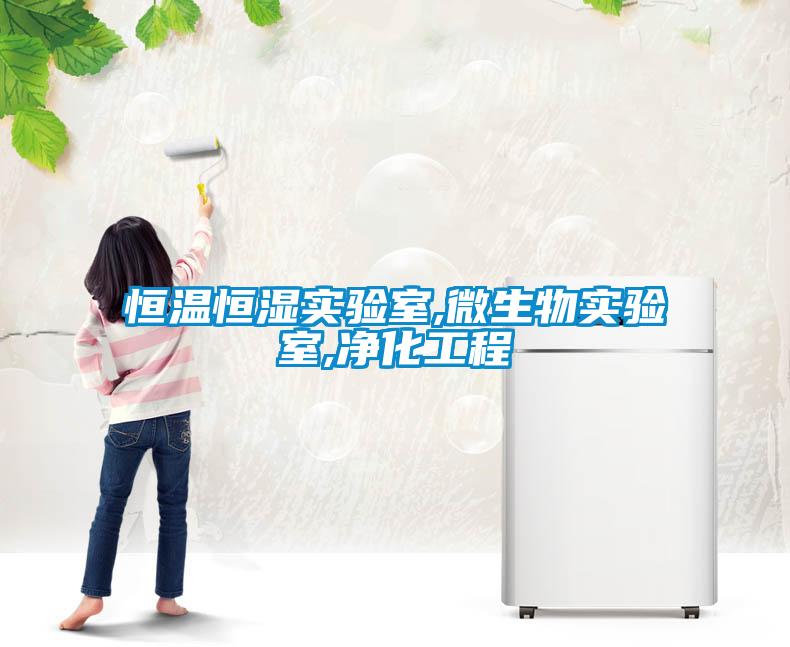 恒温恒湿实验室,微生物实验室,净化工程