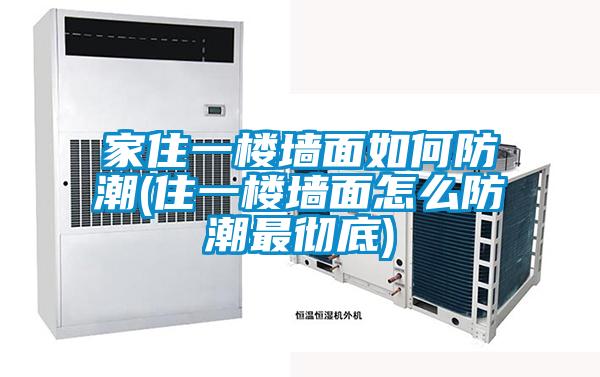 家住一楼墙面如何防潮(住一楼墙面怎么防潮最彻底)
