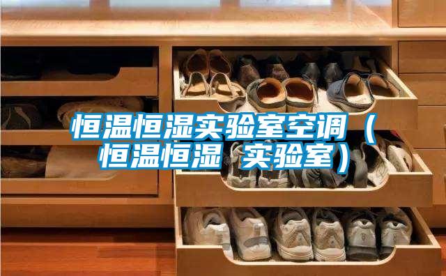 恒温恒湿实验室空调（恒温恒湿 实验室）