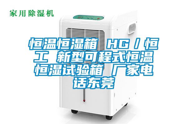 恒温恒湿箱 HG／恒工 新型可程式恒温恒湿试验箱 厂家电话东莞