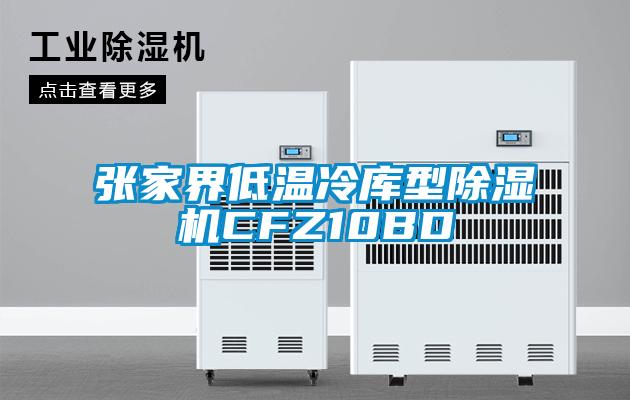 张家界低温冷库型除湿机CFZ10BD