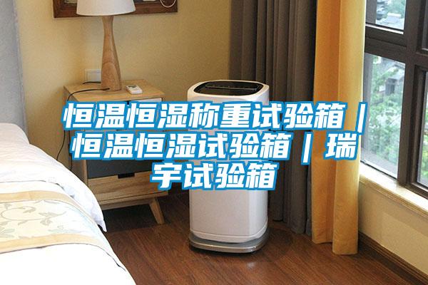 恒温恒湿称重试验箱｜恒温恒湿试验箱｜瑞宇试验箱