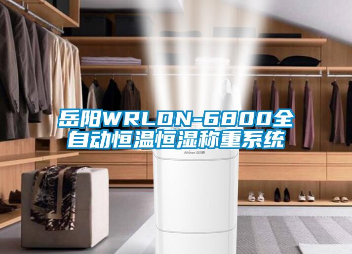 岳阳WRLDN-6800全自动恒温恒湿称重系统