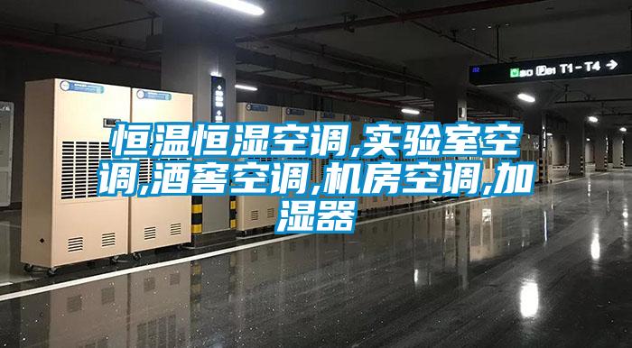 恒温恒湿空调,实验室空调,酒窖空调,机房空调,加湿器