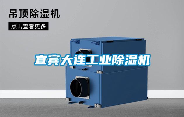 宜宾大连工业除湿机