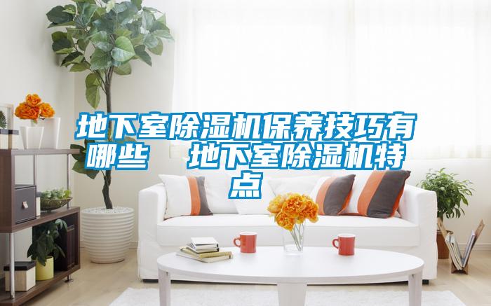 地下室除湿机保养技巧有哪些 地下室除湿机特点