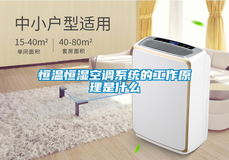 恒温恒湿空调系统的工作原理是什么