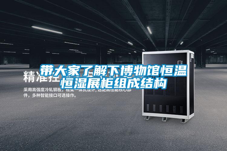 带大家了解下博物馆恒温恒湿展柜组成结构